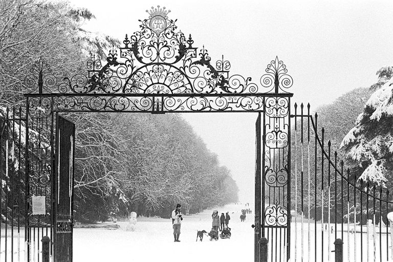 Cirencester Park, Cotswolds