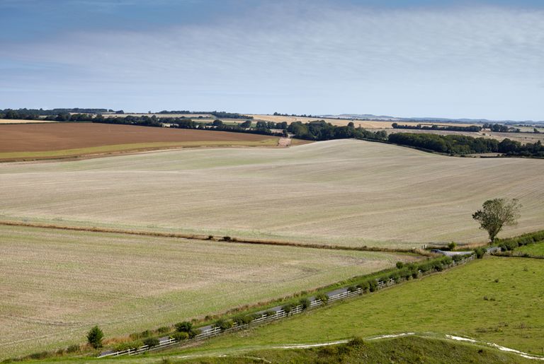 Old Sarum, Salisbury, Salisbury Plain
